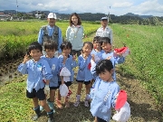 稲刈り🌾