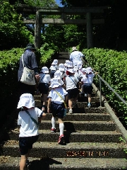 津波時避難経路確認　～辻の宮神社～