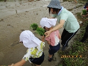 田植え体験🍃